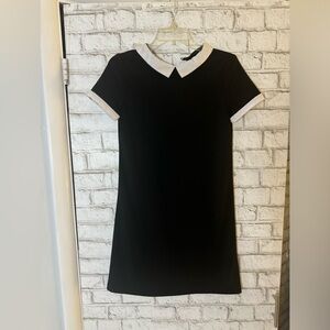Aqua black and white collar short sleeve stretch dress